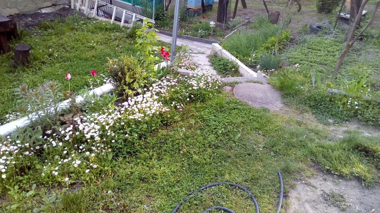 Guest House Khatuna Borjomi Exterior foto